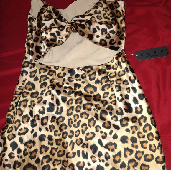 Posh couture dresses - Picture 4 of 4